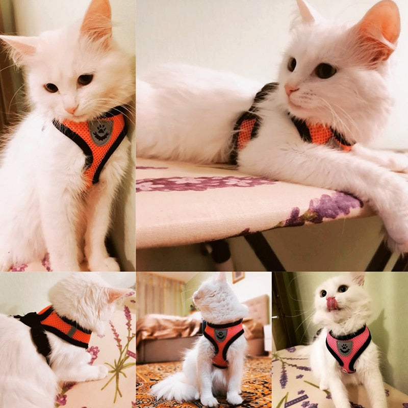 Cat Harness Adjustable Vest Walking Lead Leash For Puppy Dogs Collar