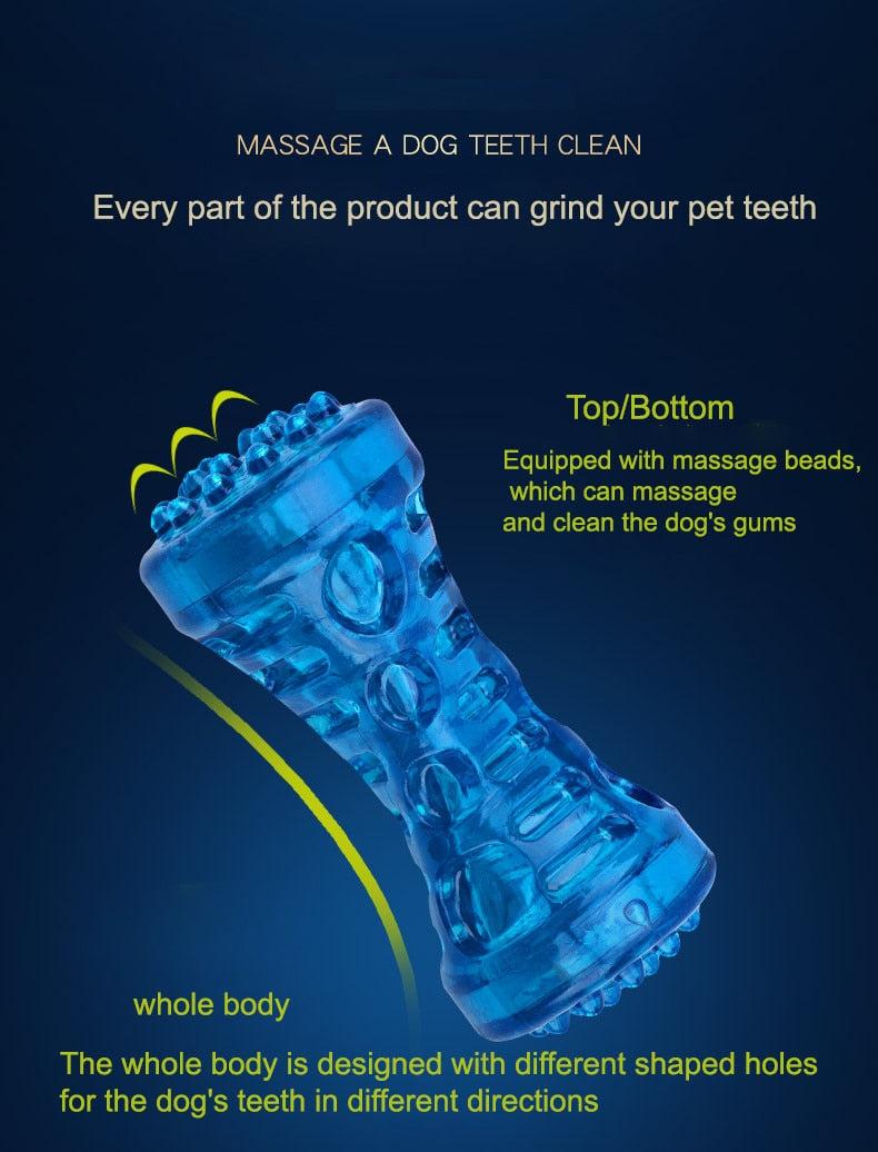 Dog Toothbrush Bone Sturdy Toy
