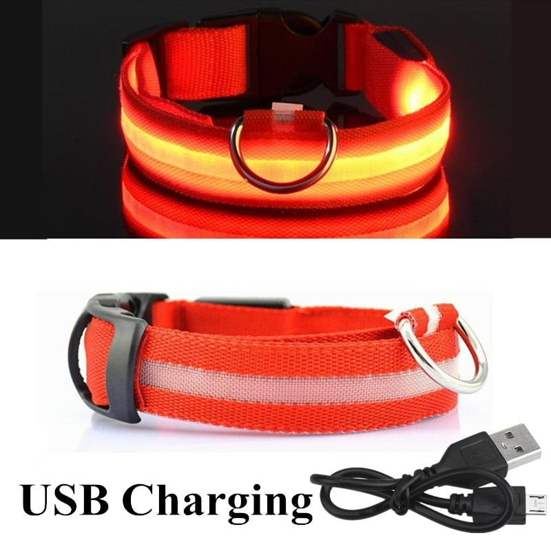 USB Rechargeable Pet Dog LED Collar