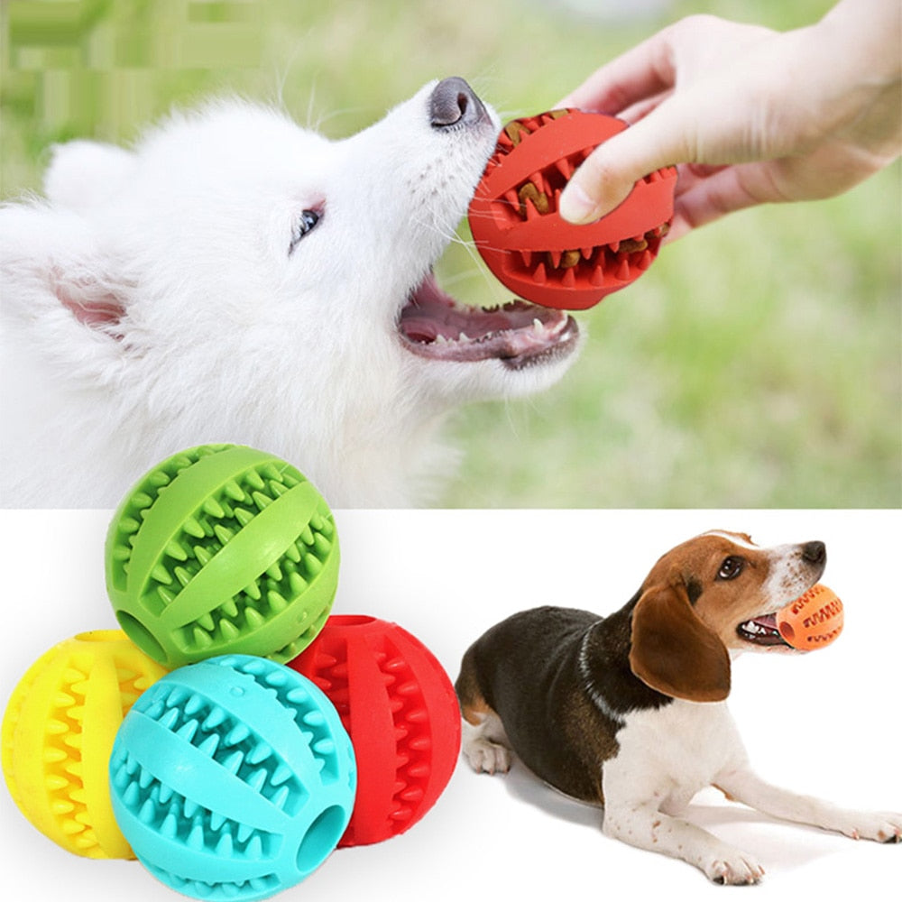 Pet Dog Toy Interactive Rubber Balls for Small Large Dogs Puppy Cat